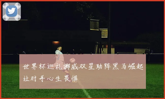 世界杯巡礼挪威双星助阵黑马崛起让对手心生畏惧