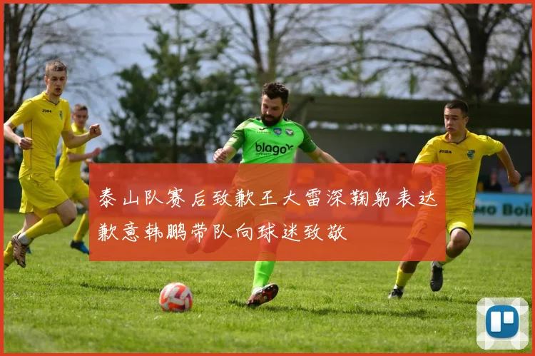 泰山队赛后致歉王大雷深鞠躬表达歉意韩鹏带队向球迷致敬